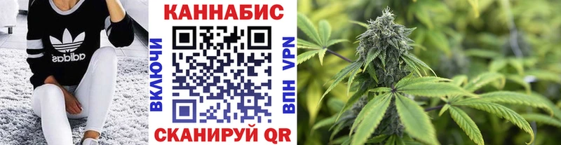 Где купить наркотики Протвино Метадон  ГАШИШ  APVP  Псилоцибиновые грибы 