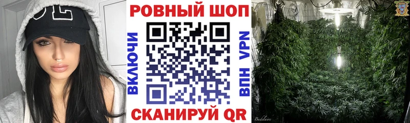 НБОМе Протвино