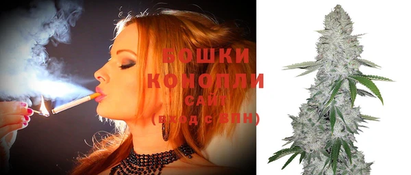 шишки Алексин
