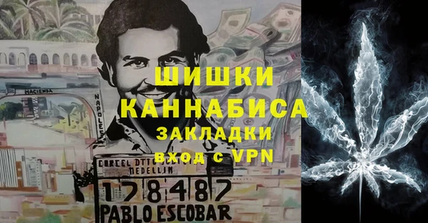 шишки Алексин