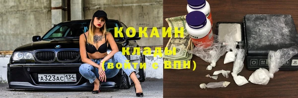 шишки Алзамай
