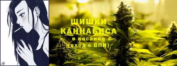 шишки Алексин
