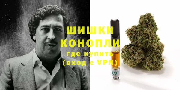 шишки Алексин