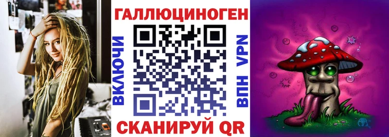 Псилоцибиновые грибы Psilocybe Протвино