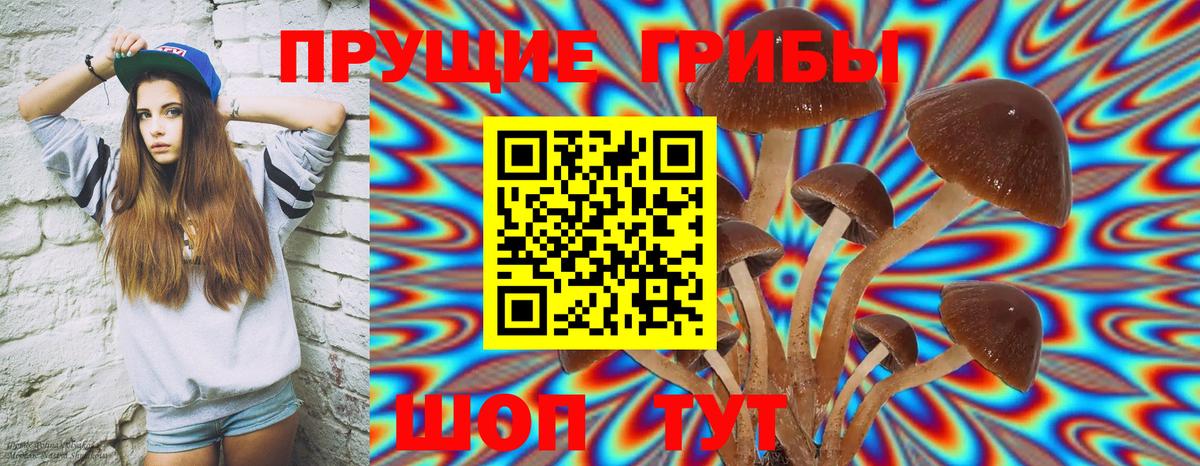 Псилоцибиновые грибы прущие грибы  Вход с VPN  Протвино 